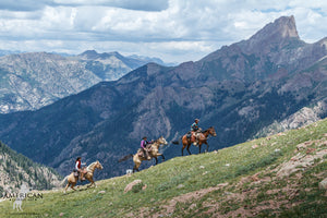 Wonders of the Weminuche - American Cowboy Art