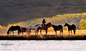 On the Water's Edge - American Cowboy Art