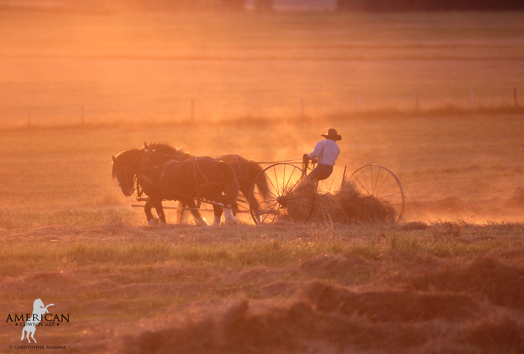 Makin' Hay - American Cowboy Art