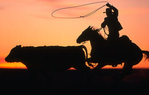 “Colorado Cowboys” A Portrait of the American West by Christopher Marona - American Cowboy Art